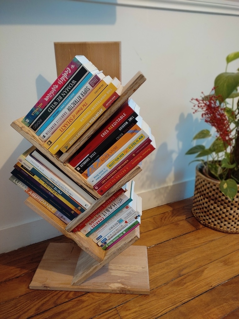 Étagère à livre petite bibliothèque