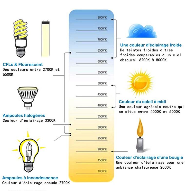 Ampoule Led Tube