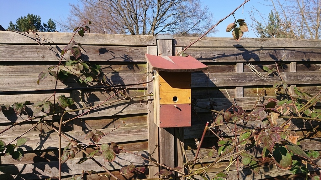 Cabane à oiseaux avec webcam intégrée par dhn sur L'Air du Bois