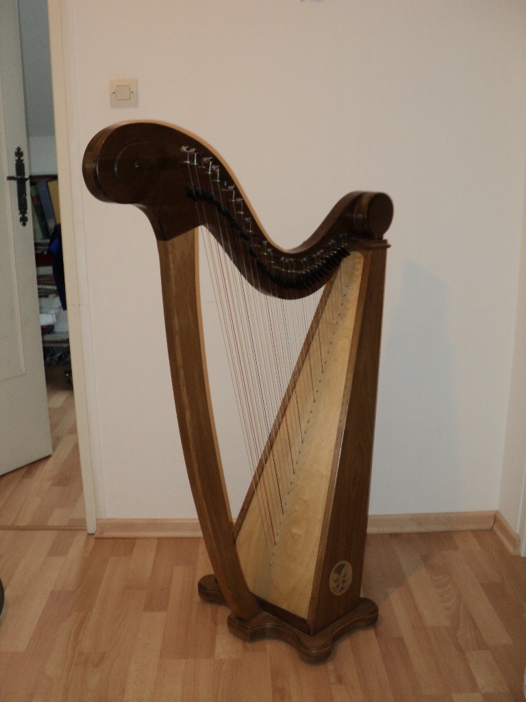 Harpe celtique, bombarde et orgue captivent le public de l'église de  Saint-Sauveur