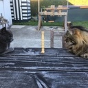 ça peut durer des heures !!!