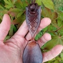 Nouvelle cuillère sur le même design de "Lee John Phillips"