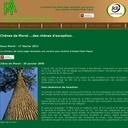 Du chêne pour Notre Dame ?