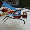 La fourmi Porteuse .....