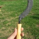 Cerpe et ciseau à bois en collaboration