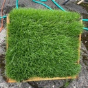 Nichoir  avec  gazon