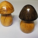 Champignons porte cure-dents