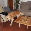 Tuto Table Basse ou comment Transformer un motif damier en départ de F1 en une étape: L’ETOURDERIE