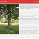 En route pour les cimes...