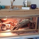 Tiroir de rangement sur terrarium