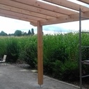 Pergolas en Douglas
