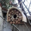 Une cabane à oiseaux