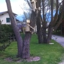 Cabane oiseau bonhomme