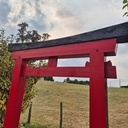 Torii