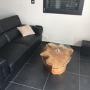 Table basse souche