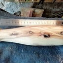 "Ceci n'est pas un pilon"