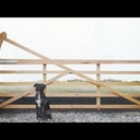 Chaine youtube carlrogers - de beaux projets bien filmés