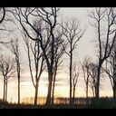 Le bois, matériau noble pour des métiers qui donnent du sens