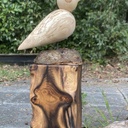 Mes premiers oiseaux au tour à bois