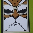 Création de Tortue de dragon ball Z