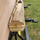 Premiers essais sur une branche de mûrier