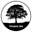 tmaes