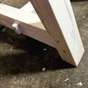 Petits mais costauds !