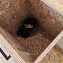 Garage de maison de bourg