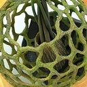 Strange (sculpture tournée)