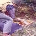 Into the wild, le vrai