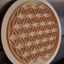 Fleur de vie version 2