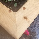 Jardinières pour les tomates