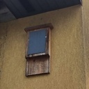 Après 7 ans. (la planche de fond fait 30 x 60 cm).