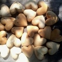 Coeurs en pagaille !