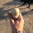 Le pilon est arrondi et ponçé très fin