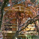 Cabane dans les arbres