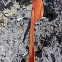 Racloir de saladier de diamètre 32 cm