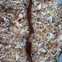 10ème cuillère de 2023 : Cuillère à salade en bouleau cuite au four.