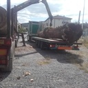 Transfert sur plateau sequoia