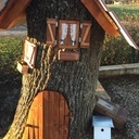 Hommage à mon chêne