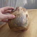 Vase torturé de décoration