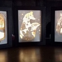 Boîtes à Lumière.