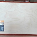 Lightbox Roi Lion revisitée