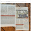 Des chênes pour Notre-Dame