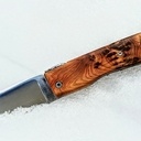 J'aime le genévrier !