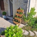 Jardinière cours gratuit S.Mamias