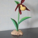 Orchjdée sabot de vénus