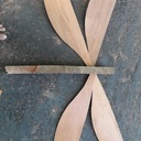 Libellule et son bassin...