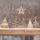 Chute de bois dans les sapins