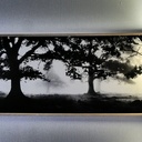 Un cadre en bois "king size"